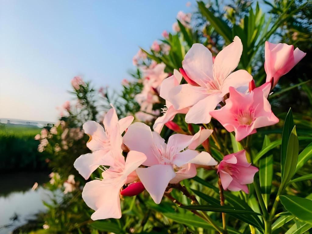 Pingview Villa Resort Tak Buitenkant foto